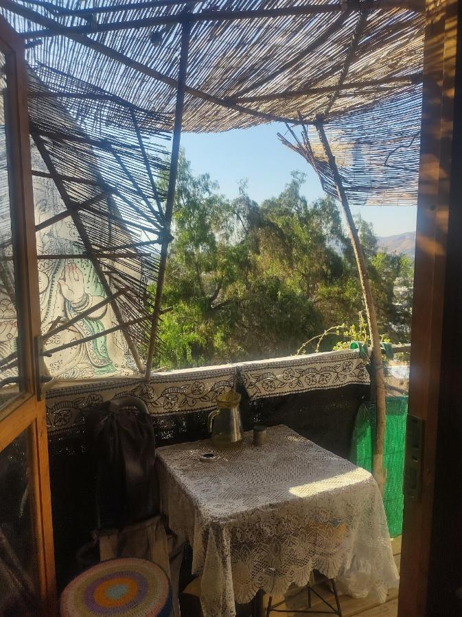 סנטיאגו Nuevovalpo Hillside Homestay מראה חיצוני תמונה